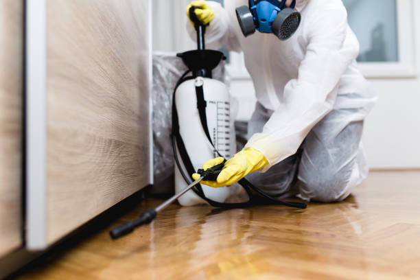Best Cockroach Control Services  in Weston, WI