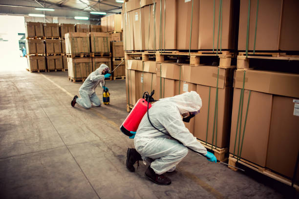 Best Affordable Pest Control Services  in Weston, WI