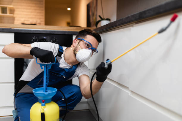 Best Pest Control Near Me in Weston, WI