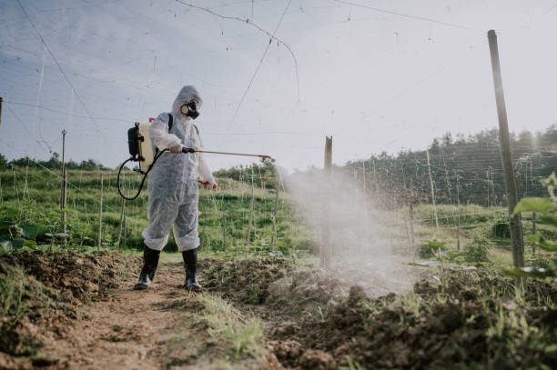 Best Mosquito Control Services  in Weston, WI