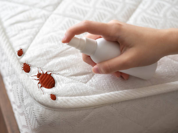 Best Emergency Pest Control  in Weston, WI